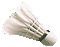 Shuttle1.gif (1574 Byte)