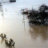 Die südwestdeutschen Juniorenmeisterschaften in Remagen erhielten durch das Rheinhochwasser eine besondere Komponente. Hier ein Blick aus dem Hotelfenster